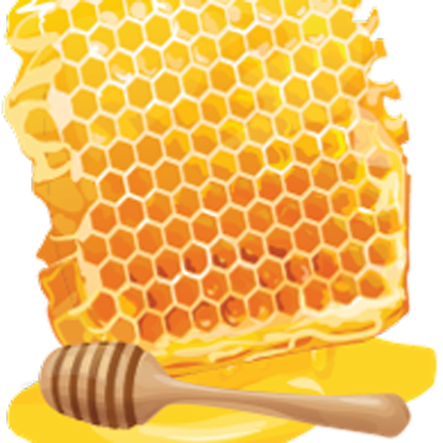 يكتشف النحالون طرقًا أفضل للعناية بخلايا النحل وإنتاج عسل عالي الجودة.