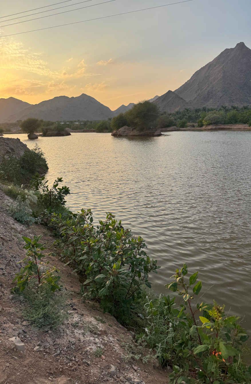 يتعلم المزارعون ممارسات تحمي التربة والمياه والنباتات