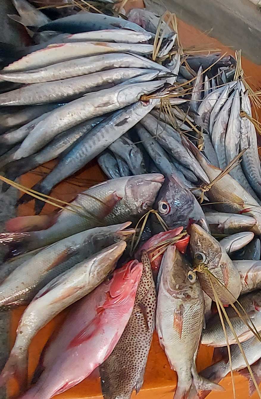 يتعلم الصيادون ممارسات مستدامة تحمي مخزون الأسماك مع الحفاظ على كميات الصيد.