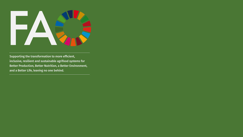 A learning picture for the FAO NCVC learning platform.